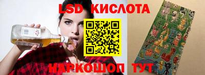 шишки Изобильный