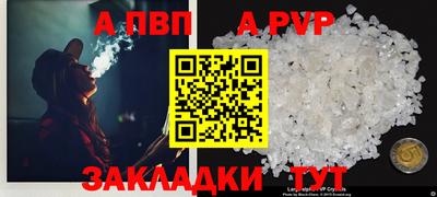 шишки Изобильный