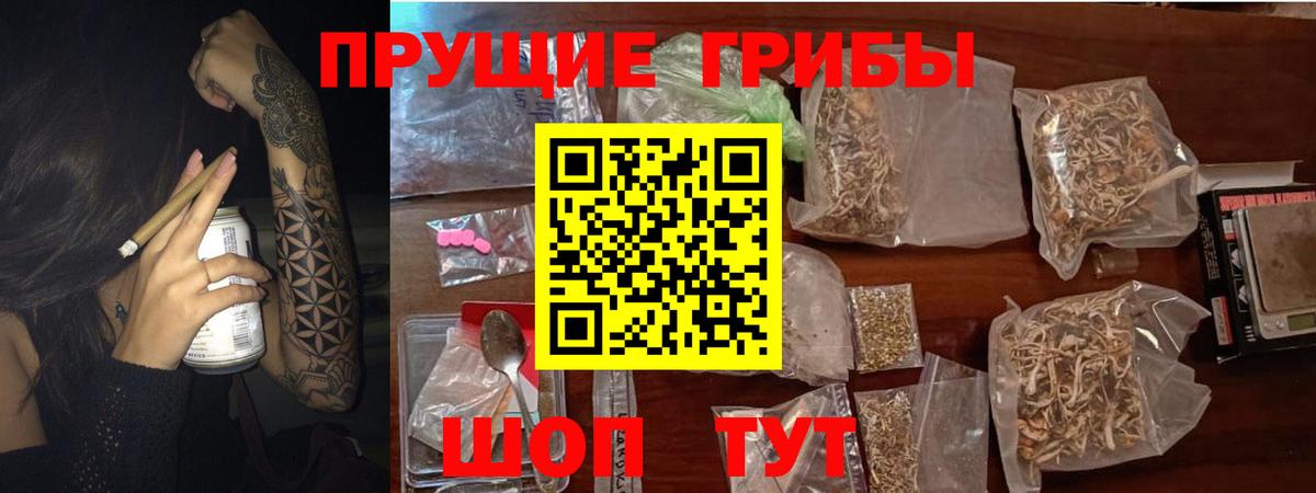 Лесозаводск  Псилоцибиновые грибы мухоморы  Вход с VPN 
